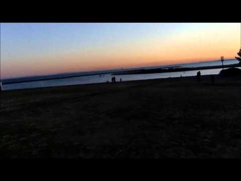 LA OVEJA DESCARRIADA   13-0428#229