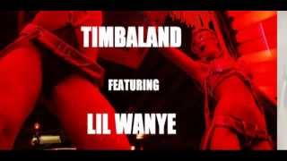 Timbaland - The Party Anthem