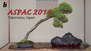 preview picture of video 'ASPAC BONSAI 2011 Japan'