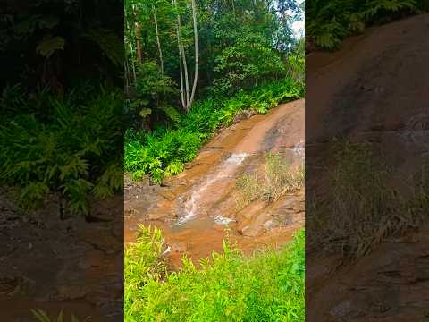 Cachoeira do Remígio Rio Espera MG #shorts #Cachoeira #natureza