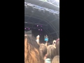 Tich Obsession Limf