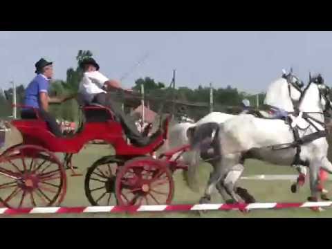 Apátfalvi lovasnap, 2016.07.24.