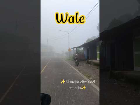 Cuesta de Wale, Pantasma/Jinotega #nicaragua #xplorervc #travel