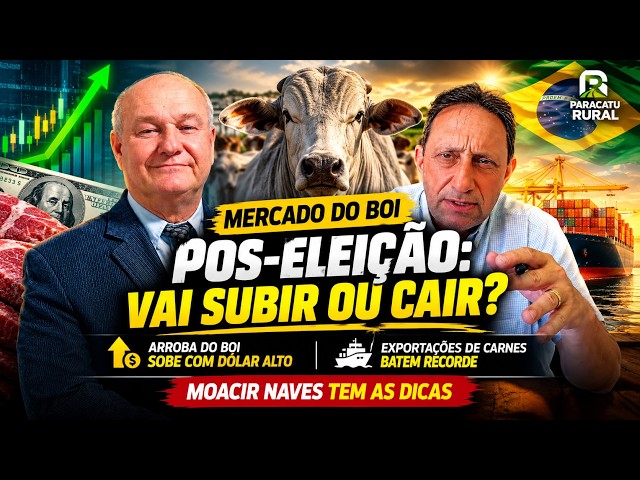 Boi Vai Subir Pós-Eleição? Dólar Salta e Carnes Disparam nas Exportações.