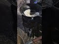 Chicken Special Gravy Rice Short Nissi Chowk Bazar Surat