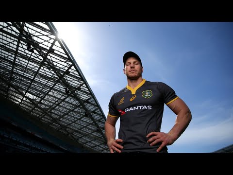 Wallabies legend David Pocock to enter parliament