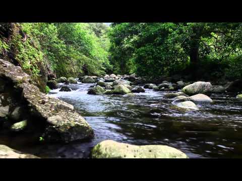 60minutes2relax - Rocky River