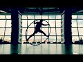 Cyr Wheel Equilibrium