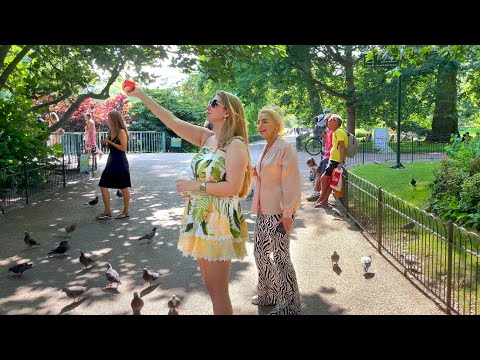 Summer in St James’s Park 🦢 London Royal Park Walk with Pelicans [4K HDR]