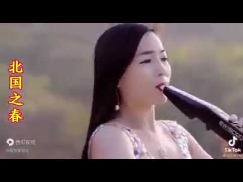 ရှမ်းပဲပုတ်လေးနဲ့ ကျွန်တော်