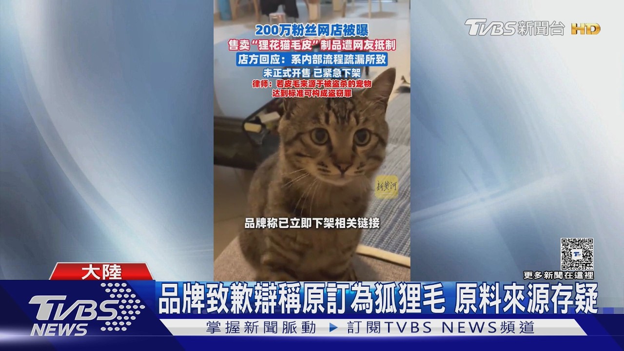 影音/鬆軟皮草恐是被偷走的毛孩子所製? 大陸貓毛製品連環爆