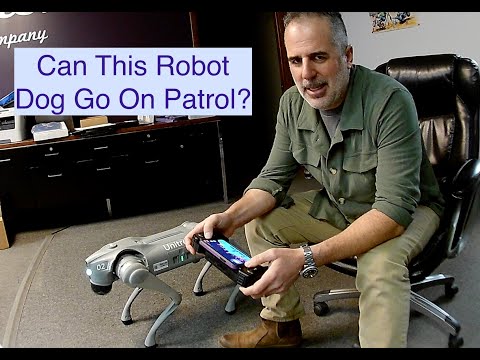 Can the Unitree Go2 Robot Dog Patrol an Area?