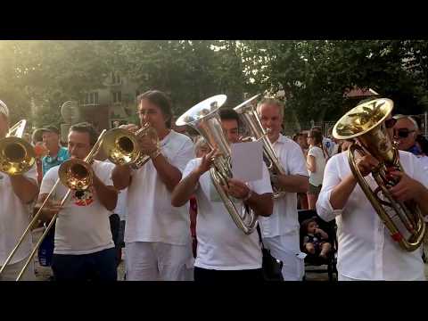 Fanfare Bizzar's aux fêtes de la St Vincent à Collioure le 14 août 2017