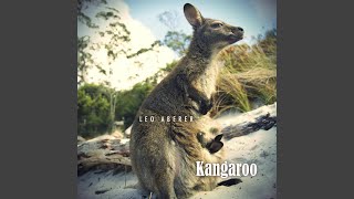Kangaroo (Radio Edit)