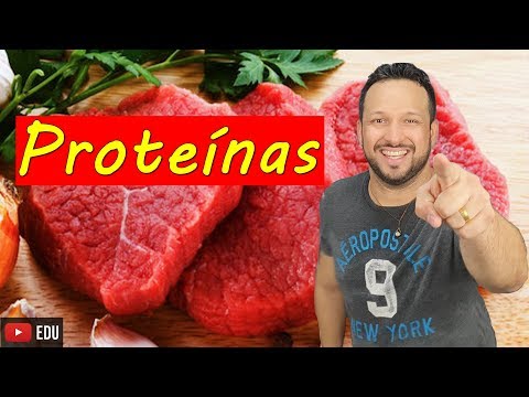 Proteins - Biochemistry - Organic compounds - Biology with the shark