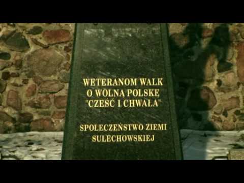 Drzewo - Polska (www.myspace.com/drzewoo)