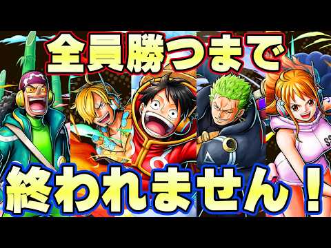 【神回】エッグヘッド新麦わらの一味全員勝てるまで終われません!【バウンティラッシュ】