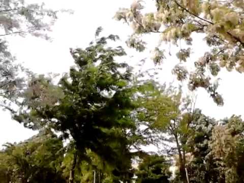 La rascruce de vanturi...