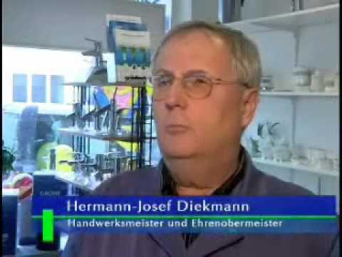 HwK-TV, 16.01.2008 - Ehrennadel für verdiente Handwerker