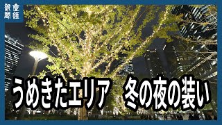 [問卦] 大阪行道樹閃亮亮?