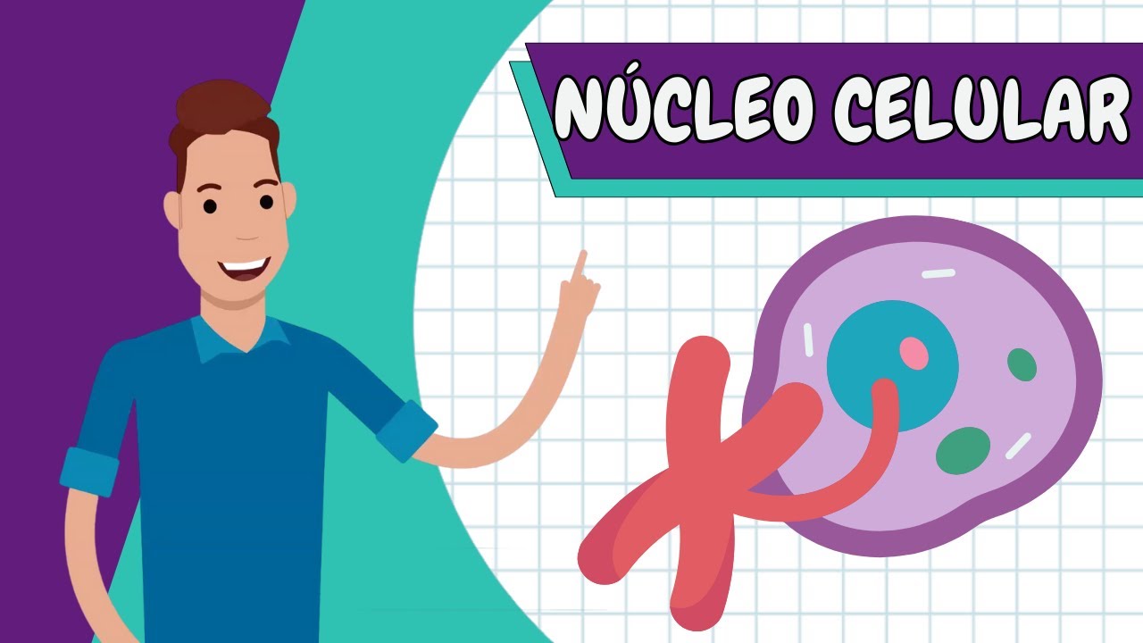 Resumo - NÚCLEO CELULAR