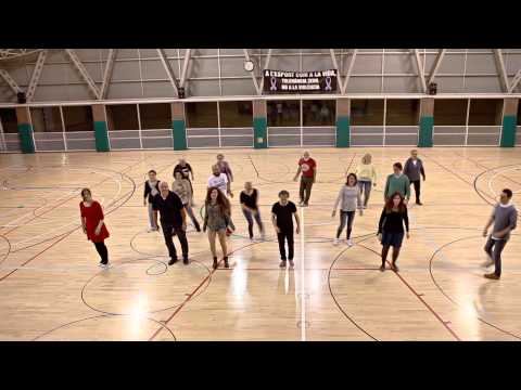 2015 VIDEO CAMPANYA: VALENTÍ PSC PALAFOLLS