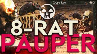 8-Rat - Over 30 copies of Crypt Rats?!  It's true!  MTG PAUPER  |  Magic the Gathering