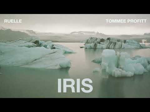 IRIS (Cinematic Cover) - Tommee Profitt & Ruelle