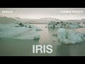 IRIS (Cinematic Cover) - Tommee Profitt & Ruelle