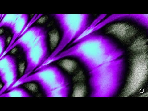 Retrospective by LVNDR and Eva.O.Lynn