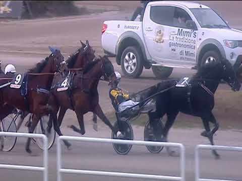 Trotto 08/01/2019 - 2ª corsa