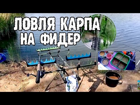 ЛОВЛЯ КАРПА НА ФИДЕР / ЛОВЛЯ КАРПА НА ПЛАТНИКЕ / ТОРОПОВА ДАЧА КРЫМ / СОРЕВНОВАНИЕ ФИДЕР /