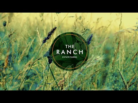 3D Tour Of Wings The Ranch Estate Farms