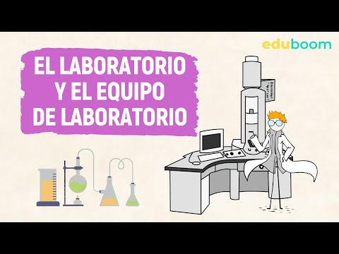 El laboratorio y el equipo de laboratorio :: Física y Química, 2º ESO