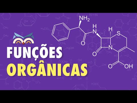 Organic Functions | Summary