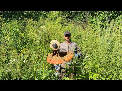 Cutting tough weeds with Stihl Fs 560-C and 561-C with trimmer line and brush knife.