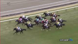 2016年エリザベス女王杯