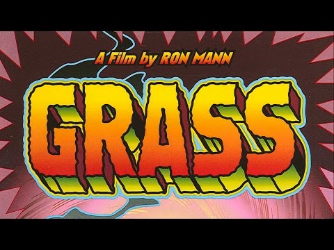 Grass (2000) Official Trailer