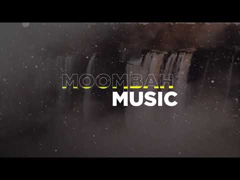 PURI x LUSHO - PATRA