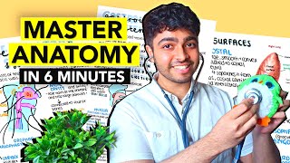 How to Study Anatomy in Medical School in 6 MINUTES