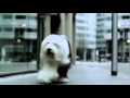 The New Dulux Dog TV Advert Apr 2011