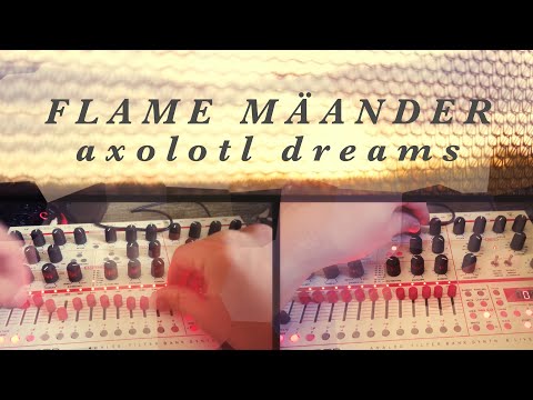 Flame Mäander - Old Axolotl Dreams // Sunset Synth Jam #TTNM