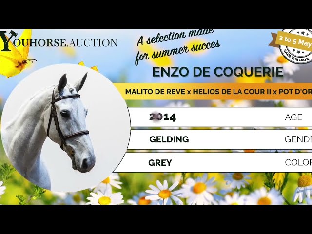 Enzo de Coquerie showvideo indoor