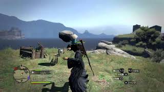 ドラゴンズドグマ　プレイ