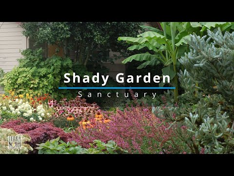 Shady Garden Design, TERRA NOVA® Nurseries, Inc. -