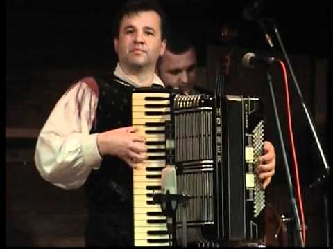 Ansambel Zupan   Martin Polka