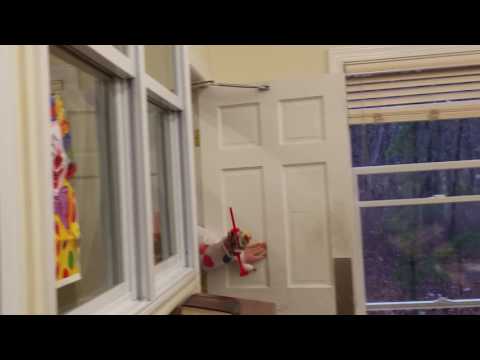 Tumid B'Simcha Guy Day 8 at Chateau Daf Yomi