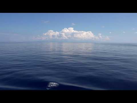 Decathlon I Le Monde est notre Terrain de Jeu. Protégeons-le.