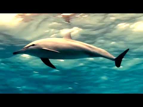 Devliner - Sleep Forever (Original Mix)