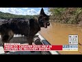 Nash deputy and cadaver dog perform grim, yet necessary job in finding bodies along Lake James